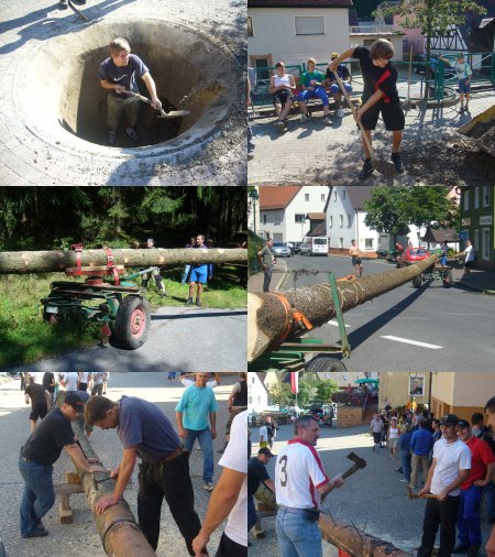 Loch ausgraben und Baum holen