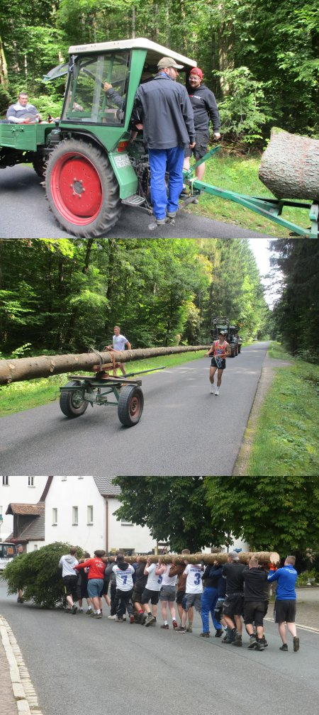 Baum holen